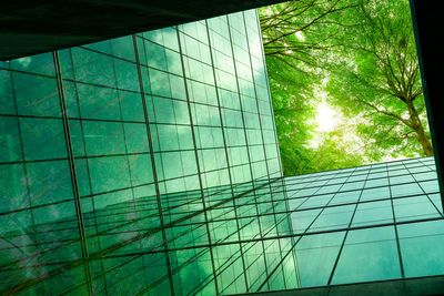 Corporate sustainability evolves from measurement to added focus on impact