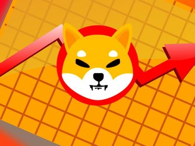 'Dogecoin Killer' Shiba Inu Steadies After Increasing Volatility: A Look At The Trading Patterns