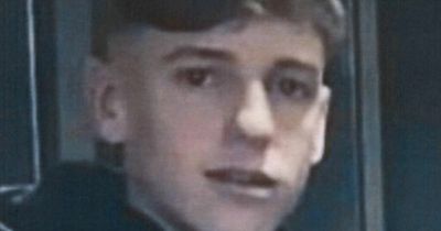 Missing persons Ireland: Gardai seek public's help in finding 15-year-old Jayden King