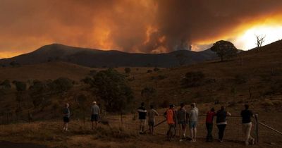 Orroral Valley bushfire inquiry adjourned as chief coroner contracts COVID