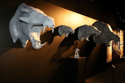 Of myths and legends