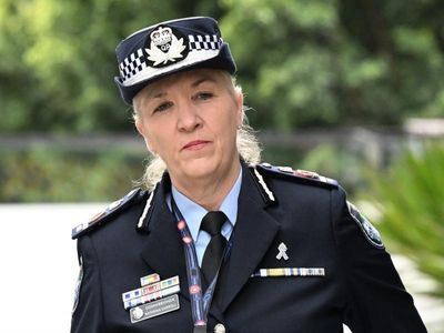 Qld top cop 'hopes to survive' scandals