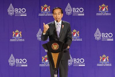 G20 chair Indonesia: world cannot move forward if war does not end