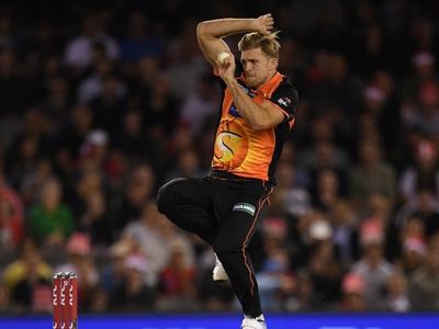 Willey opts out of BBL's Sydney Thunder
