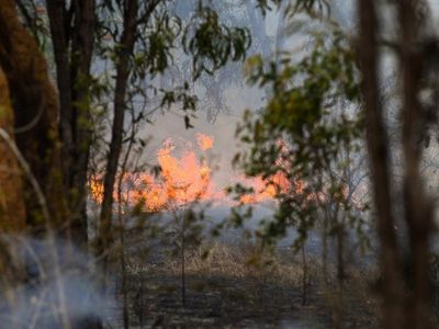 Fire eases after warning in Cape York town
