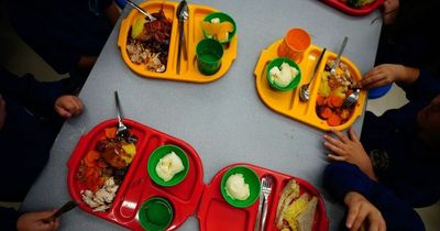 Tesco, Sainsbury’s, Lidl, Aldi and Asda call for change in free school meals