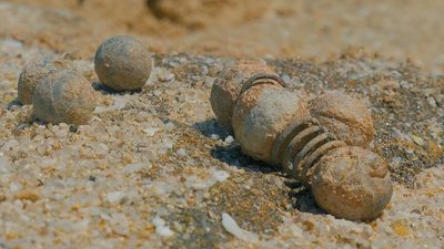 Musket 'bolo' balls buried in sand for 366 years discovered on WA beach