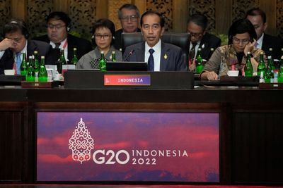 Indonesia leader says intellectual property waiver must be widened on health issues