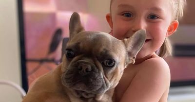 Family's desperate race to save autistic four-year-old's support puppy who prevents her from self-harming