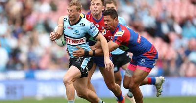 Shark attack: Knights close in on No.1 option