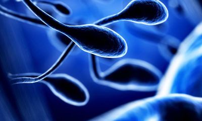 Decrease of global human sperm count has doubled since turn of century