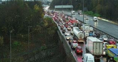 Traffic chaos on M8 as 'concern for person' causes huge tailbacks
