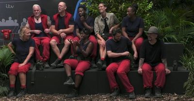 ITV I'm A Celebrity fans 'work out' who will go first after 'grim' act in the jungle