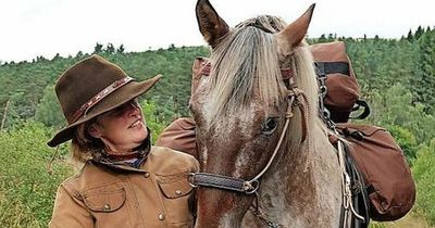 Humane horse centre in Dunkeld galloping ahead in training skills after Covid lockdowns