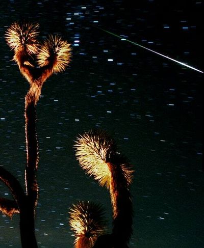 Leonids: You need to see November's biggest meteor shower this week