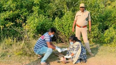 Andhra Pradesh: Monkeys were assaulted to death not poisoned, confirms autopsy