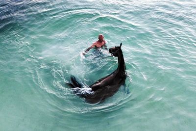 Horse race culture runs deep on Colombia's San Andres Island