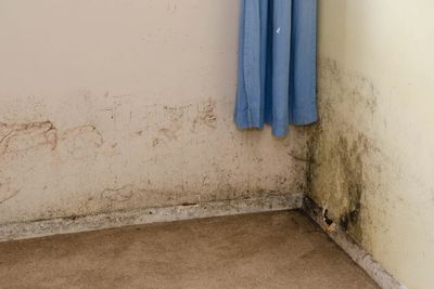 How to spot the effect of mould on children’s health and who is most affected