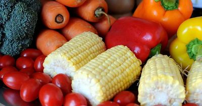 Sunderland-based community food project to bring new healthy eating programme to Wearside