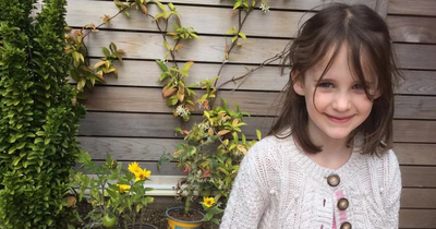 Newcastle City Council facing prosecution following tragic death of six-year-old Ella Henderson