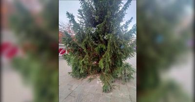 Town's Christmas tree branded 'laughing stock' - and is so bad it's being sent back