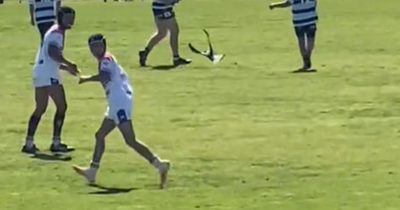 Magpie repeatedly attacks rugby player as 1 million viewers in stitches