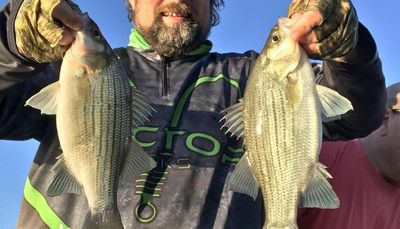 Chicago fishing, Midwest Fishing Report; Hints and hopes of lakefront perch and waiting on first ice