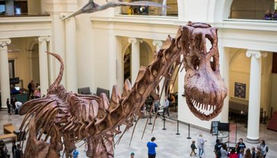Field Museum employees seeking to unionize ask head of museum for recognition