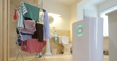 This is how to dry wet clothes a lot quicker with 'best buy ever'