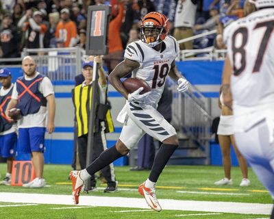 Eagles release WR Auden Tate from the practice squad