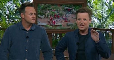 I'm A Celeb fans spot Ant and Dec's major blunder as campmate 'goes missing'