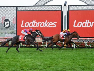 Bookmakers defend bulk TV advertising