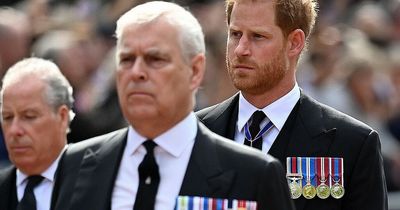 Charles III snubs Princes Harry and Andrew in revised list of royal deputies