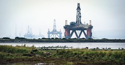 Shareholder dividends soar as oil sector booms, claims report