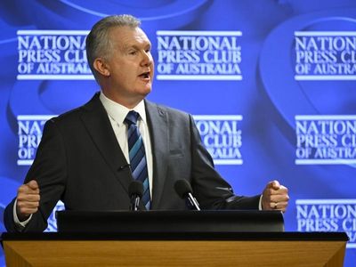 IR reforms to protect wages, says Burke