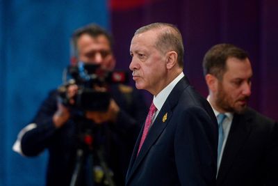 Turkey's Erdogan hopes Russia-Ukraine grain deal will be extended by a year