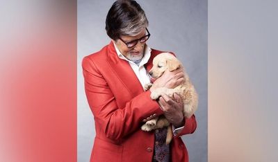 Bollywood: Amitabh Bachchan mourns death of his pet dog, shares emotional note