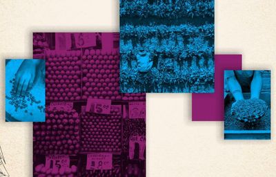 Can the world feed 8bn people sustainably?