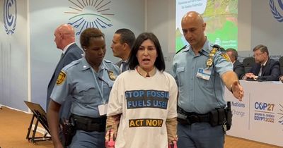 Ukrainian climate activists storm Russian COP27 event calling delegation 'war criminals'