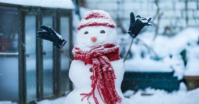 Map shows snow could be heading for Ireland with colder conditions expected as Met Eireann gives update