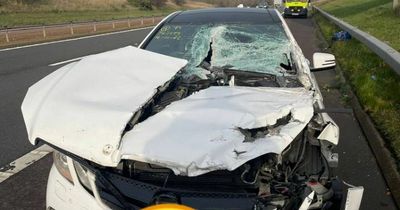 Mercedes left mangled after horror crash with HGV on Scots motorway