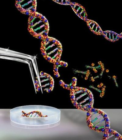 These CRISPR-edited T cells could be the future of cancer therapy