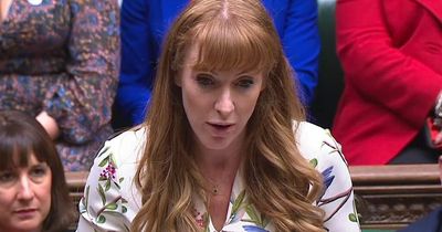 Angela Rayner demands 'drain the swamp' in clash with bullying accused Dominic Raab