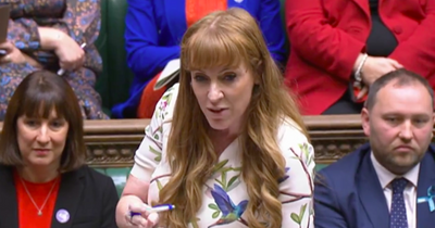 'Drain the swamp' Angela Rayner savages Dominic Raab during fiery Commons exchange