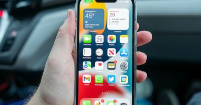 Life-saving iPhone feature activated TODAY - how to check yours is working
