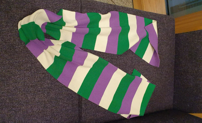 Scottish parliament ‘sorry’ after suffragette scarf women thrown out of trans debate