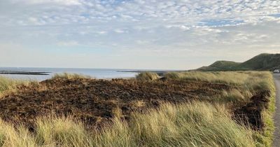 East Lothian beauty spot burnt out after firework destroys sand dunes