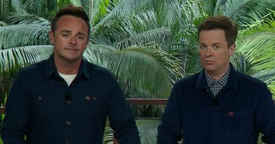 I'm A Celebrity's Ant McPartlin threatens to walk over 'idiot' suggestions