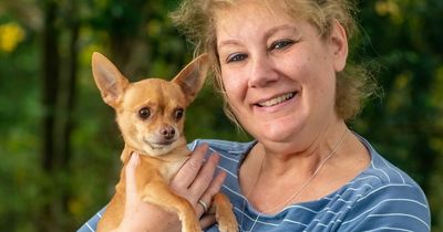 Woman who spent £17.5k on surgery for her dog has 'no regrets' about selling car