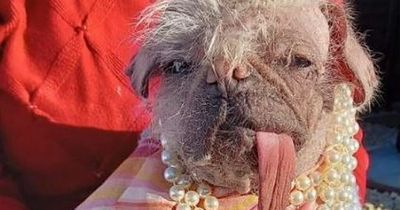 She's not pretty and she's not ugly, she's....